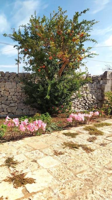 Trullo Mami Villa Putignano Exteriör bild