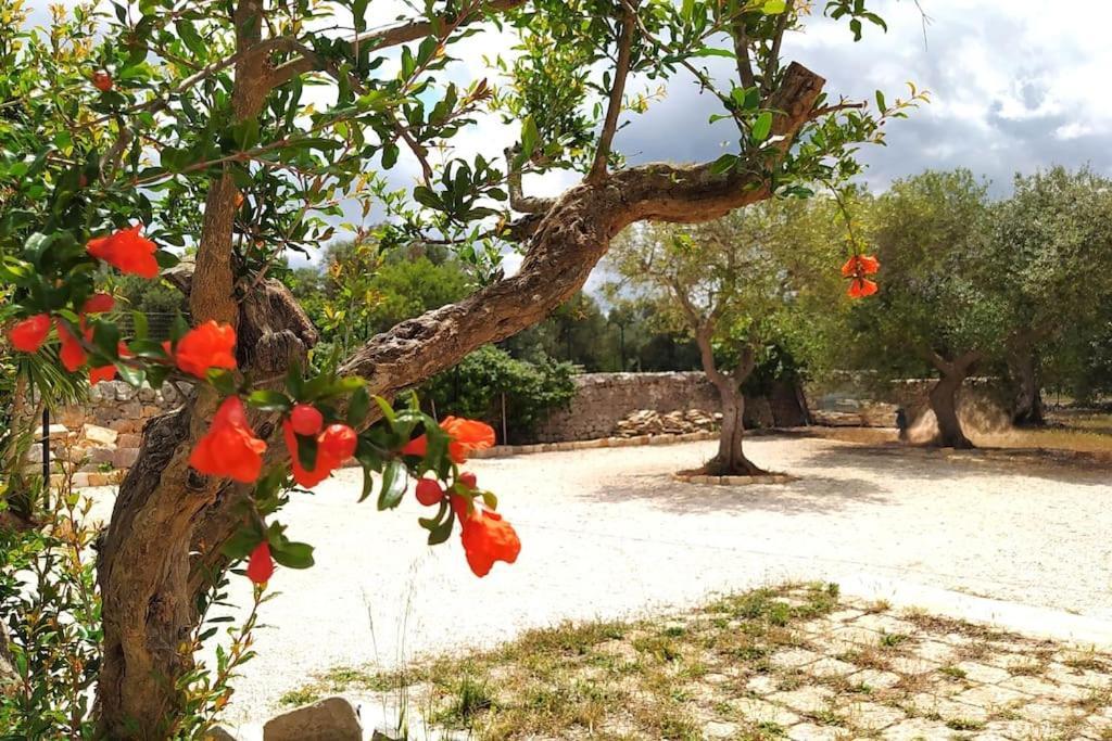 Trullo Mami Villa Putignano Exteriör bild